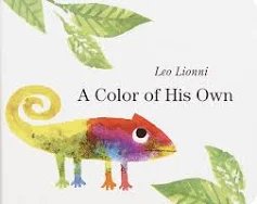 Color of His Own
