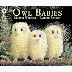 Owl Babies